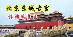 菊花大乳阴蒂中国北京-东城古宫旅游风景区